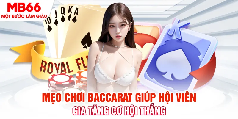 hot51 live đá gà 88