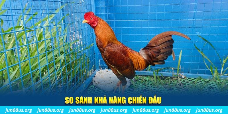 hot51 live xổ số tiền giang