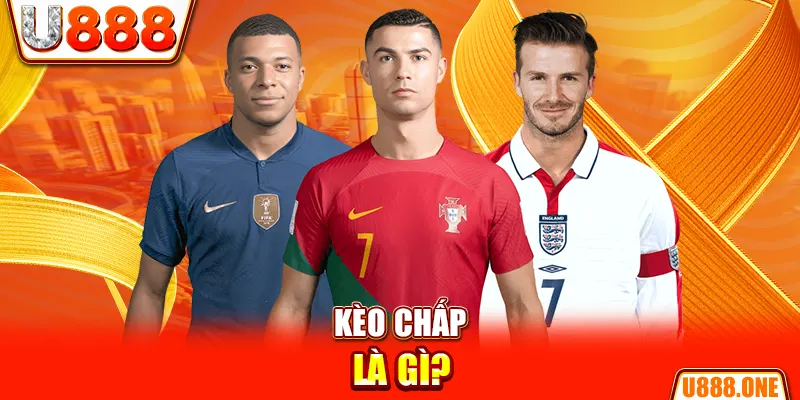 chổi lông gà