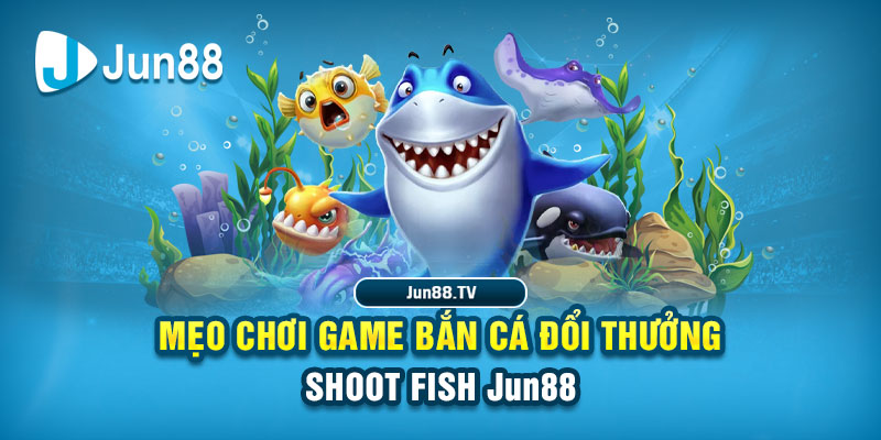 hot51 live tai game danh bai bigkool ve may tinh
