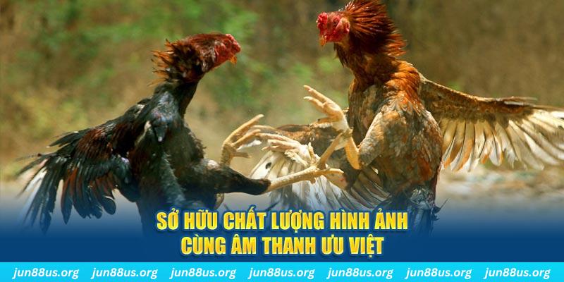 hot51 live tai game danh bai ve may tinh