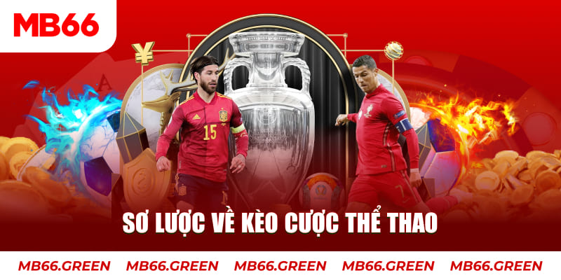 hot51 live xổ số an giang