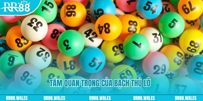 hot51 live đá gà trực tiếp casino