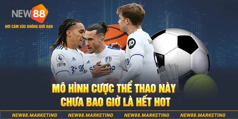 hot51 live gà chọi c1 thomo
