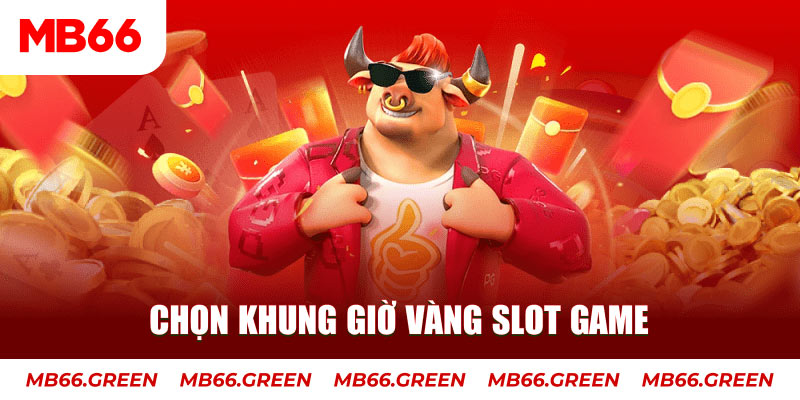 hot51 live Bài Poker Bonus