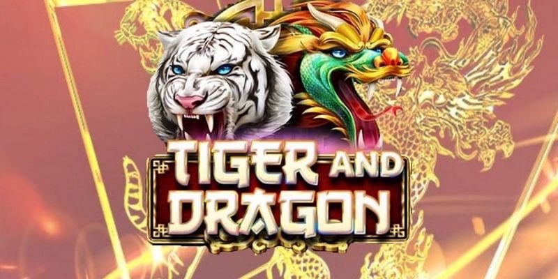 hot51 live trực tiếp đá gà thomo